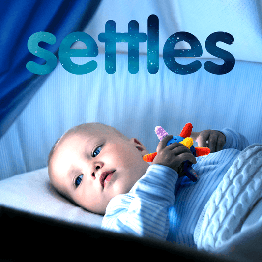 Baby Teether Balls [2 Pack] Sensory Pacifier Music Bell Rattle Dummy